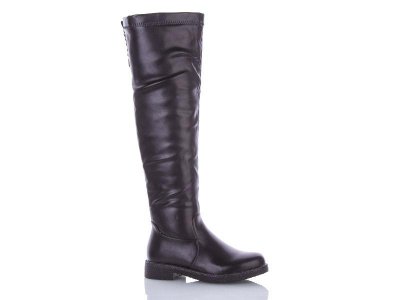 Сапоги женские зима Dual-Purlina (36-41) ML9316-1 (зима)