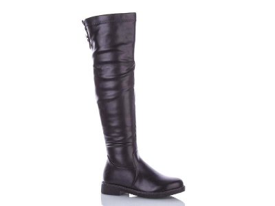 Сапоги женские зима Dual-Purlina (36-41) ML9318-1 (зима)