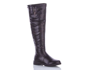 Сапоги женские зима Dual-Purlina (36-41) ML9319-1 (зима)