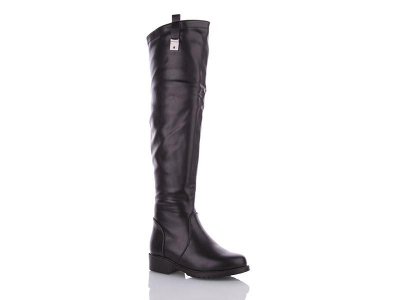 Сапоги женские зима Dual-Purlina (36-41) SL9484-1 (зима)