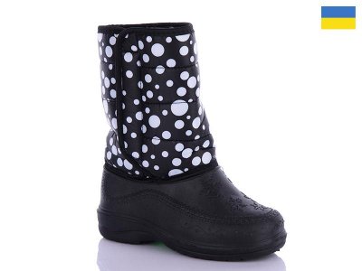 Сапоги женские зима Sanlin2 (36-41) A12 прима горох (зима)