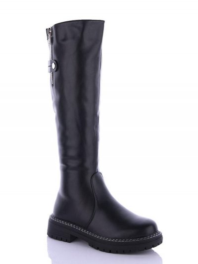 Сапоги женские зима Dual-Purlina (36-41) P1327-1 (зима)