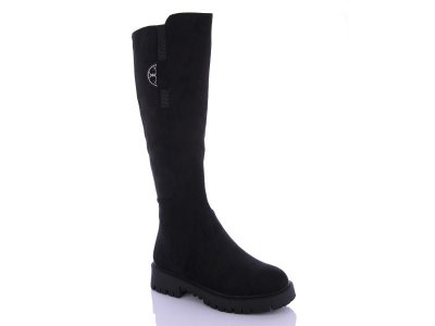 Сапоги женские зима Dual-Purlina (36-41) P1290-2 (зима)