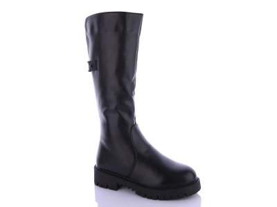 Сапоги женские зима Dual-Purlina (36-41) P1294-1 (зима)