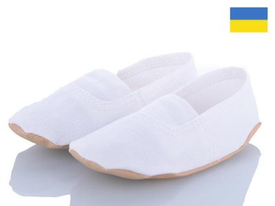 Чешки детские Dance Shoes (14-24) A2 white (деми)