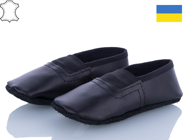 Чешки Dance Shoes (23-24) A1 black (23-24) (деми)