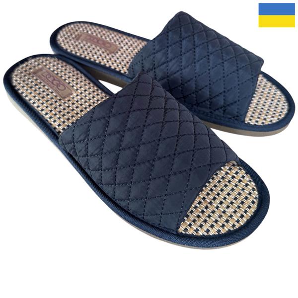 Тапочки Rai shoes (36-41) TC04 синій (деми)