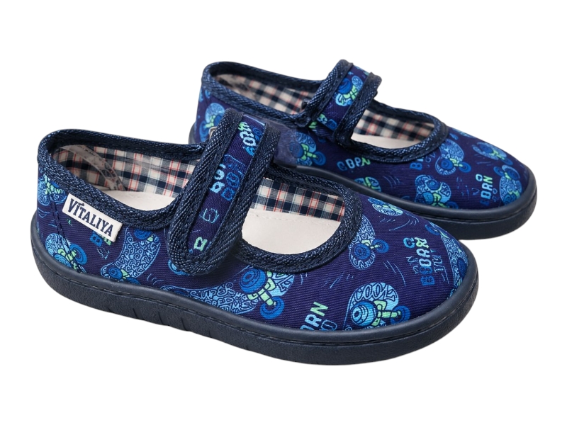 Тапочки Slipers (23-27) Сад скейт синій (деми)