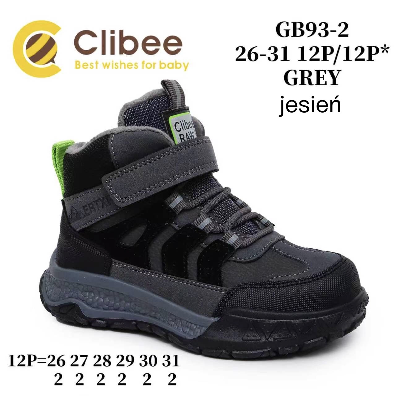 Ботинки DvaClibee (26-31) LD-GB93-2 Grey (деми)