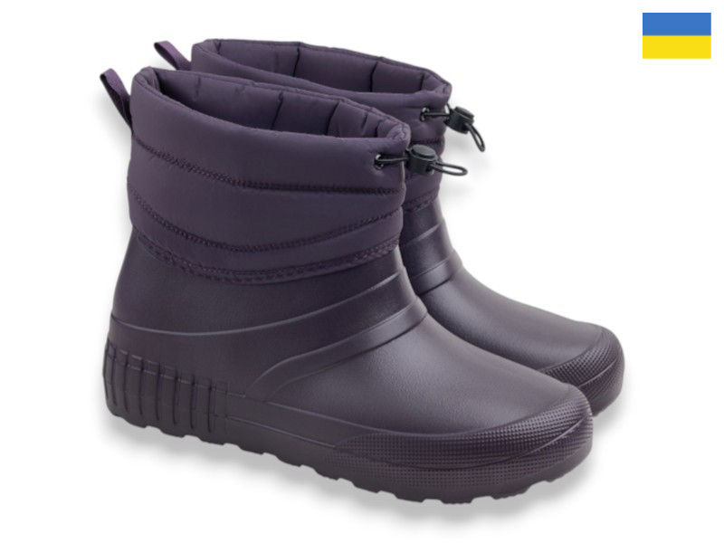 Сапоги Rai shoes (37-41) D401DF т.фіолетовий (зима)