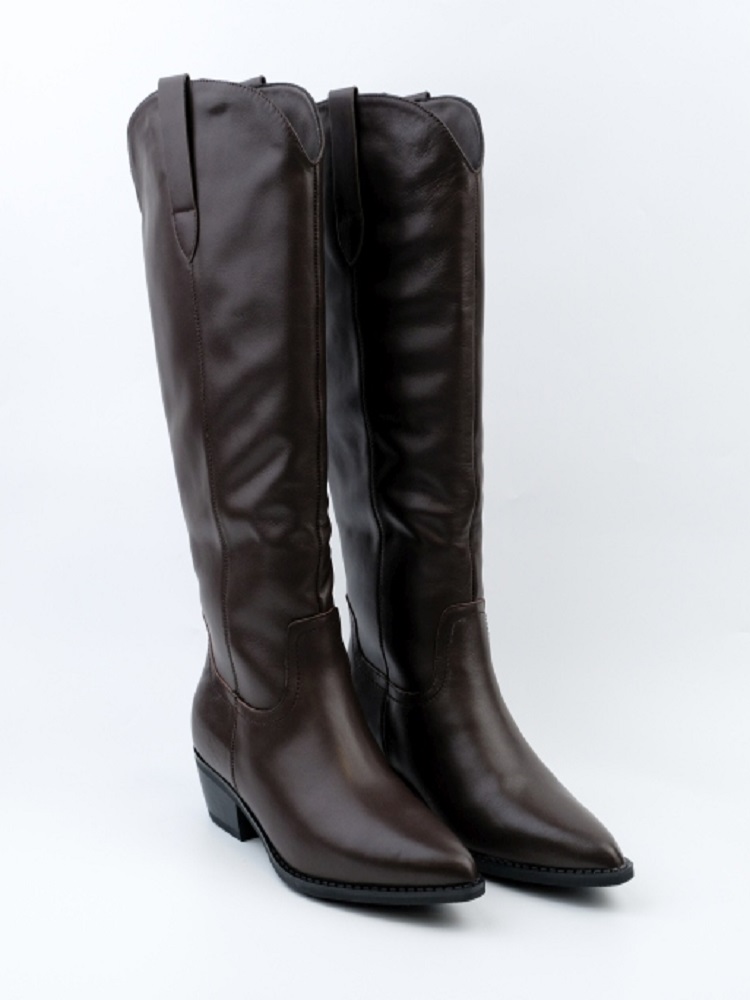 Сапоги Allshoes (36-41) 221019 (зима)
